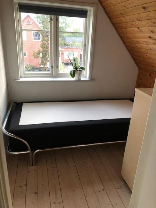 Ålbæk Hyggeligt Byhus Taet Ved Skov Og Togstation מראה חיצוני תמונה