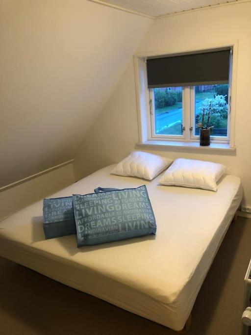 Ålbæk Hyggeligt Byhus Taet Ved Skov Og Togstation מראה חיצוני תמונה